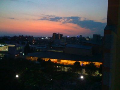 f0201741_17553889.jpg