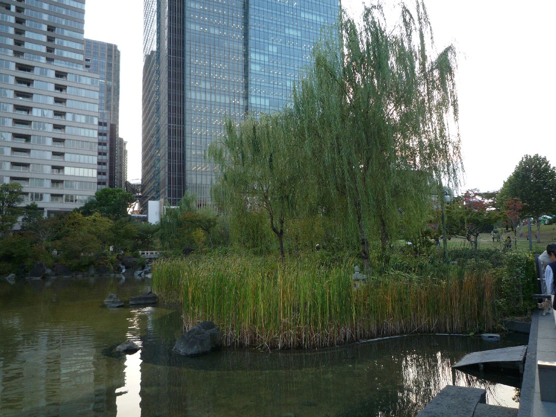 b0169343_19391232.jpg