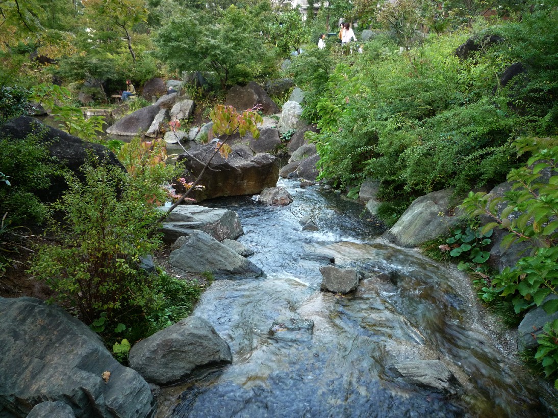 b0169343_19425459.jpg