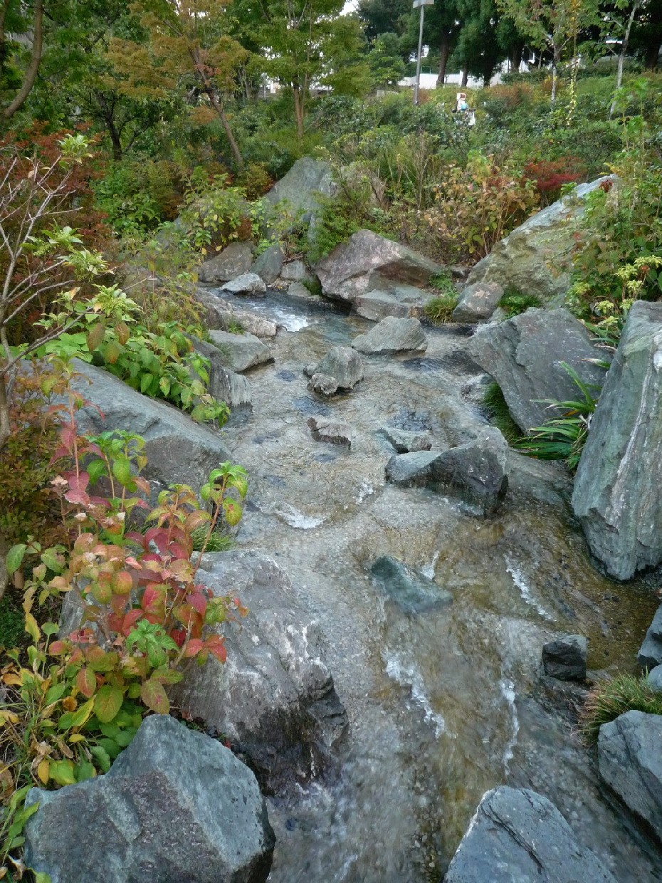 b0169343_19443178.jpg