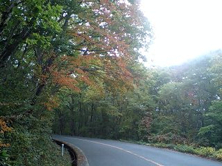 c0059543_16454430.jpg