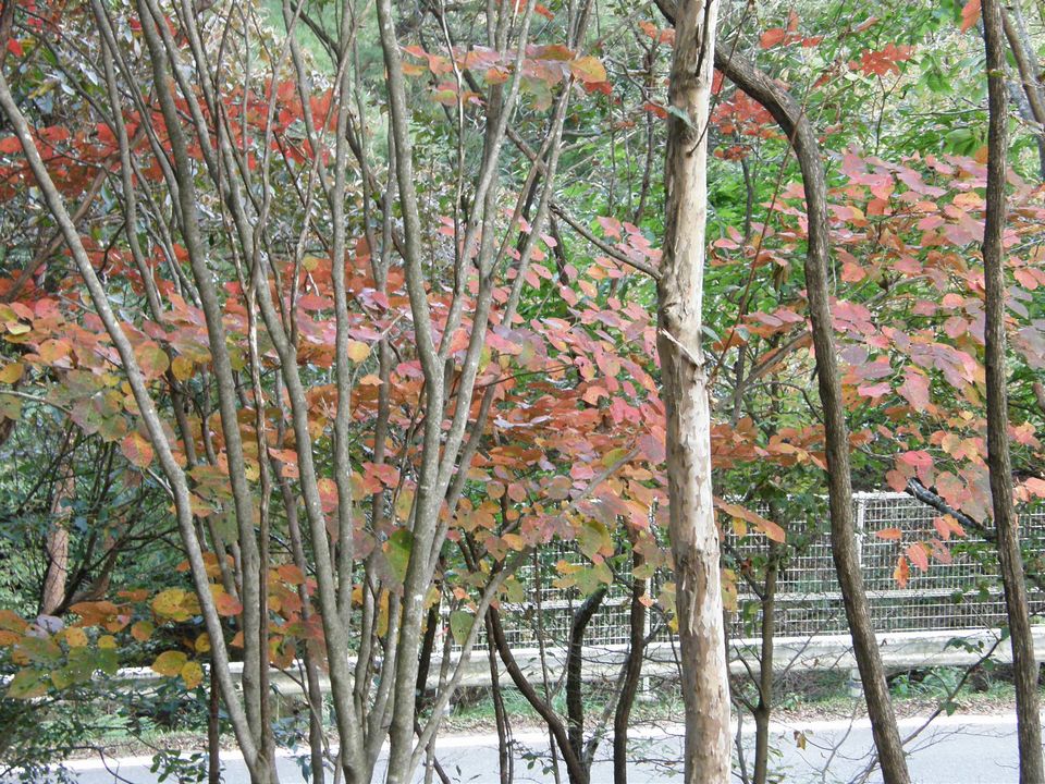 f0090444_20464176.jpg