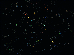 e0005548_19281448.gif