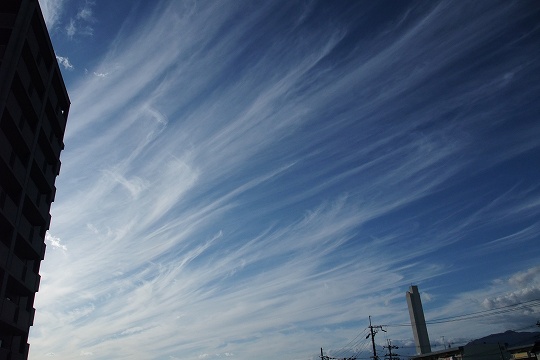 e0156649_12371976.jpg