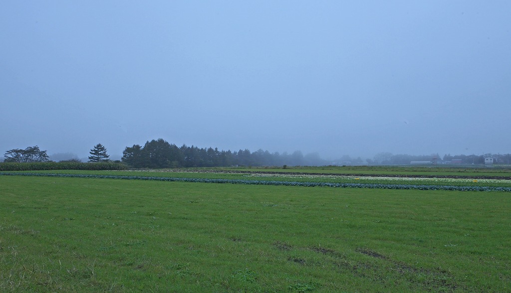 e0163149_7475221.jpg