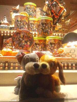 f0203249_233387.gif
