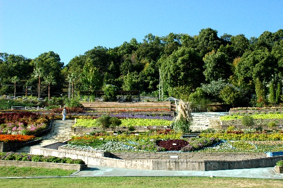 　　和歌山県植物公園緑花センター　_b0093754_23574130.jpg