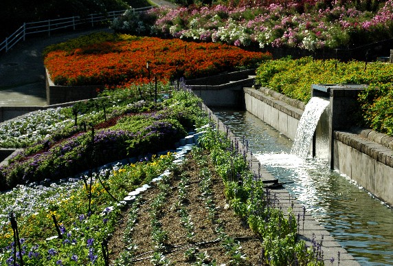 　　和歌山県植物公園緑花センター　_b0093754_23581358.jpg