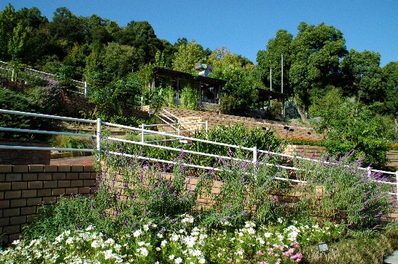 　　和歌山県植物公園緑花センター　_b0093754_2358428.jpg