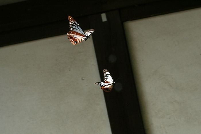 e0156157_20201748.jpg
