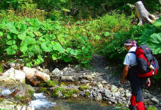 ＜2009年９月大型連休＞北海道・日高山脈の難関峰：「ペテガリ岳」  （前編）_c0119160_17413051.jpg