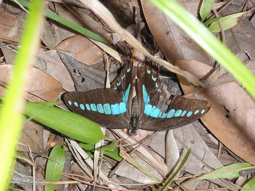 c0180460_422270.jpg