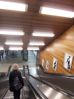 c0188261_10384969.jpg