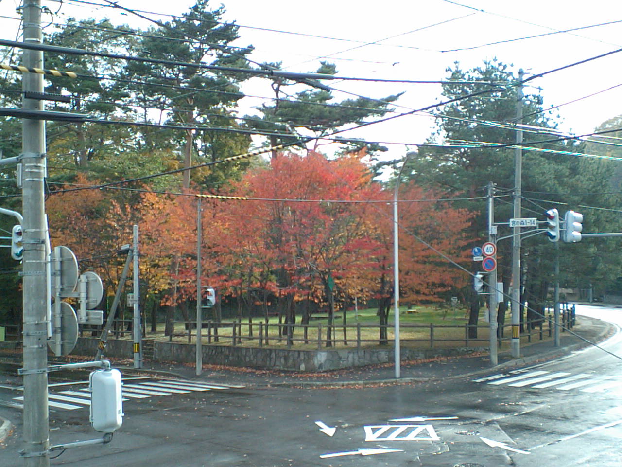 d0098665_1718153.jpg