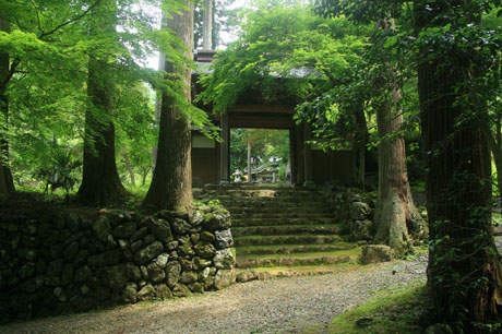 a0045381_8223428.jpg