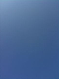 b0018281_20193347.jpg