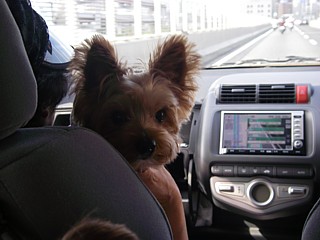 c0191390_2003197.jpg