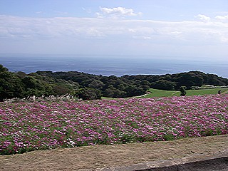 c0191390_20343311.jpg