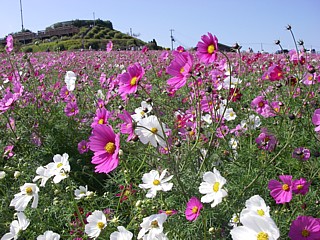 c0191390_20421470.jpg