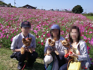 c0191390_20454220.jpg
