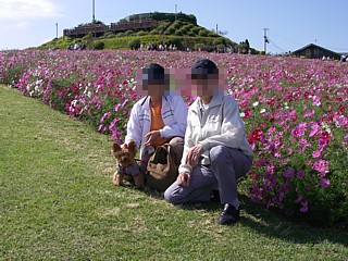 c0191390_20484725.jpg