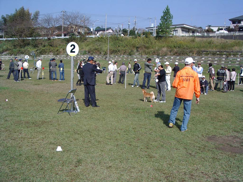 秋季静岡展覧会。。_a0133999_19573350.jpg