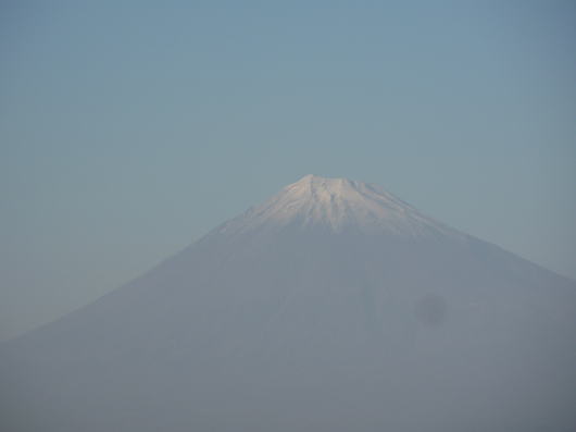   様子見の富士川緑地公園  _b0055202_23534076.jpg