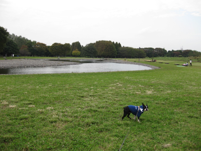d0070702_22131376.jpg