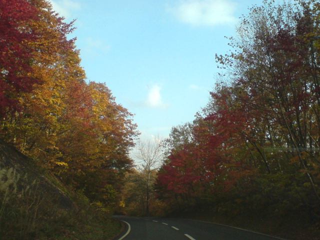 紅葉_f0103803_1051349.jpg