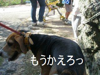 貴船神社まつり_c0205806_10492076.jpg