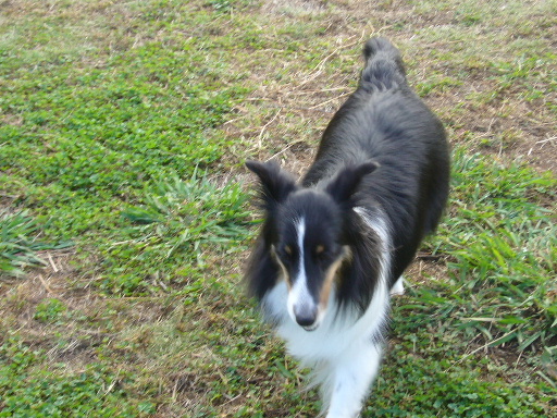 e0130008_20183678.jpg