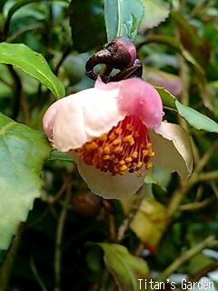 b0099813_0344390.jpg