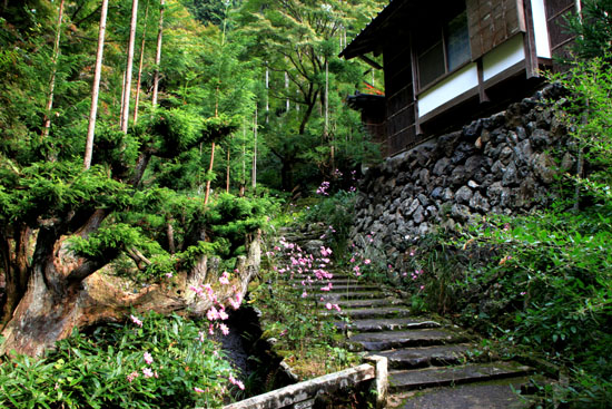 宗蓮寺_e0048413_2215934.jpg