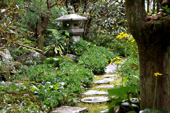 宗蓮寺_e0048413_223037.jpg