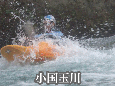 a0103615_21435952.gif