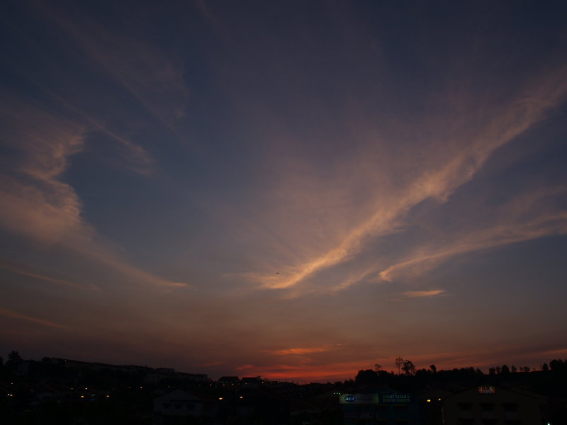 b0168218_20221863.jpg