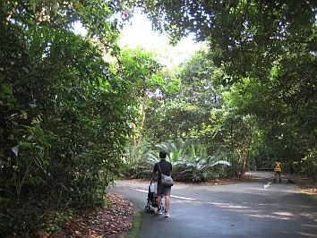 e0119618_1410132.jpg