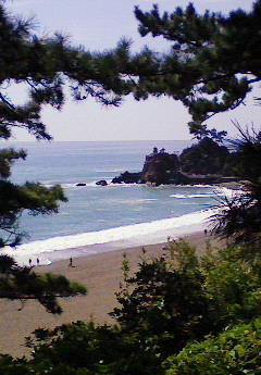 ありがとうでちゅー♪_f0126121_15474239.jpg