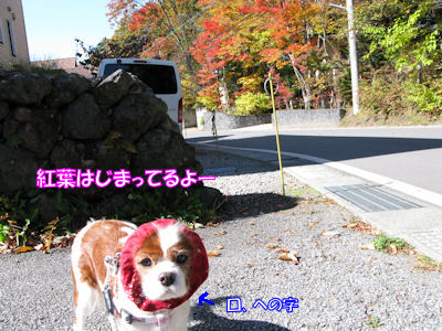 b0185323_18321661.jpg