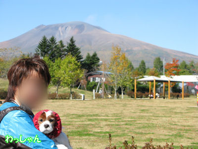 b0185323_18332281.jpg