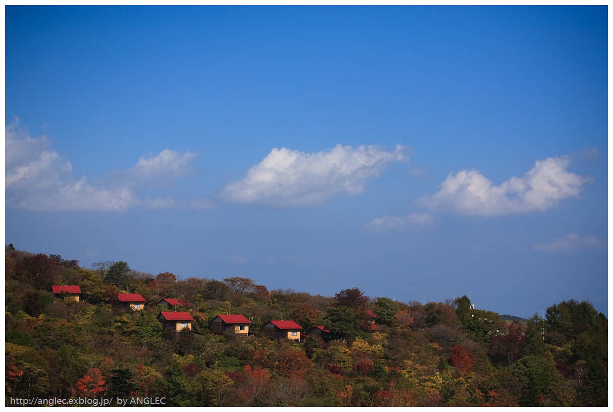 今年初めての紅葉・茶臼山1_c0097723_2156826.jpg