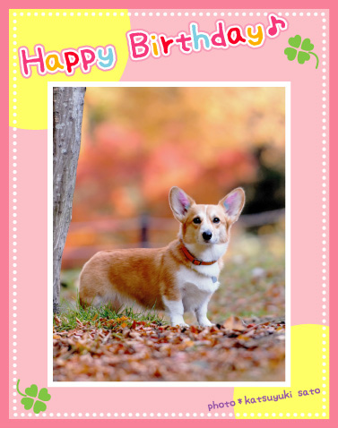 唯ちゃん、楓ちゃん、お誕生日おめでとう♪_d0102523_139499.jpg