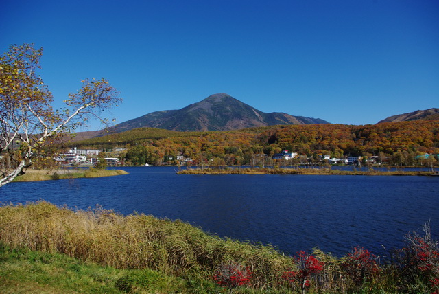 紅葉が見頃です_d0102327_21262543.jpg