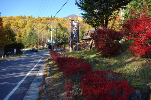 紅葉が見頃です_d0102327_21362964.jpg