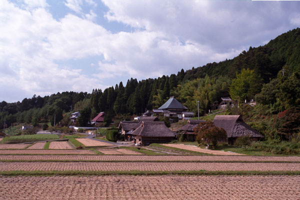 d0036630_19552224.jpg