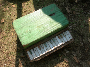 e0125731_6392973.jpg