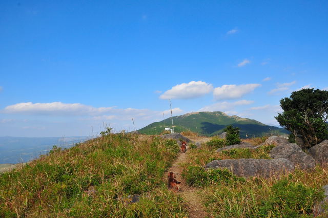 日曜日は、絶対山へ行くんだ。_e0056537_21561423.jpg