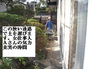 家庭菜園作り_f0031037_2025378.jpg