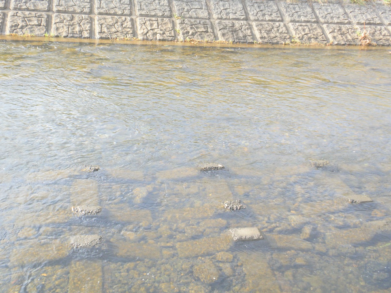 c0176941_22311987.jpg