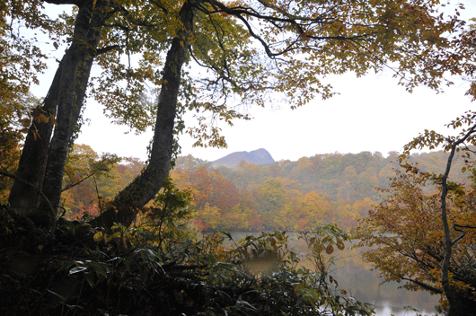 c0093046_19234788.gif